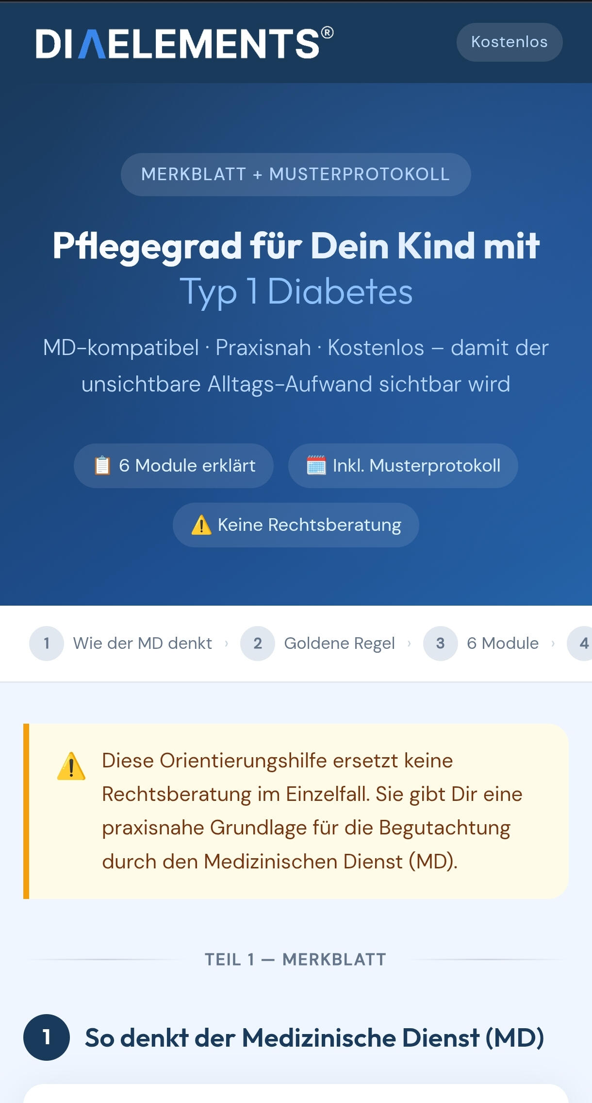 Unsere kostenlosen Tools für T1D-Familien – DiaElements Merkblatt Pflegegrad für Kinder mit T1D